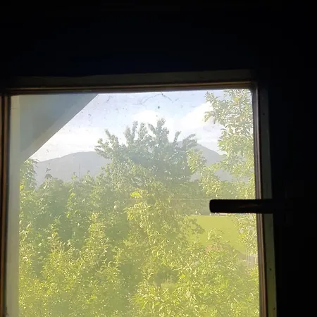 Kujavnk * Kranj